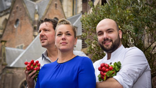 ML in Haarlem